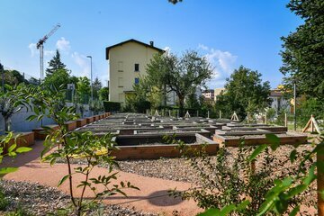 Città di Lugano: l'iniziativa degli orti familiari comunali è un successo
