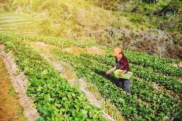 Ogni anno perse 233 mila tonnellate di alimenti. La colpa è del traffico