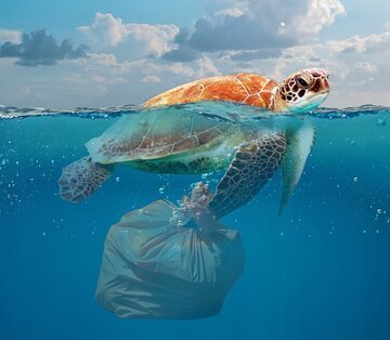 Giornata mondiale dell'ambiente: riciclare la plastica? Ecco perché è un falso mito