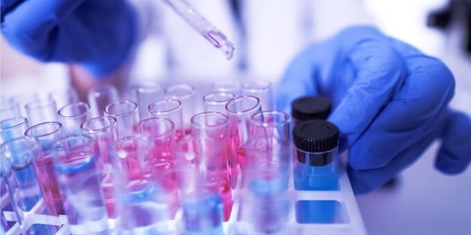 Eccellenze mediche: sei ricercatori svizzeri riceveranno il Pfizer Research Prize 2022