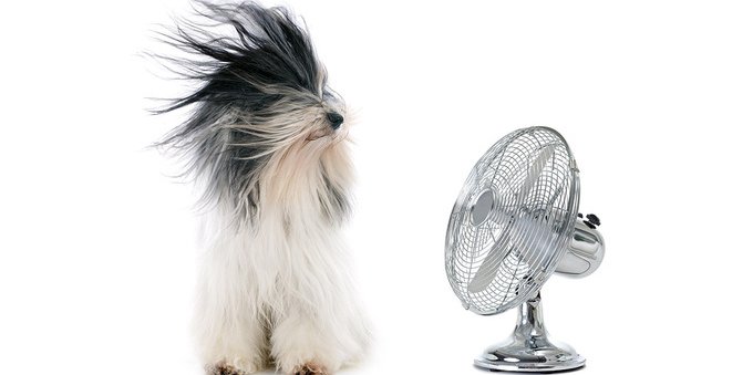 Come si fa a sopportare il caldo? Dieci consigli utili per chi non ha l'aria condizionata