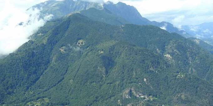Protezione dei boschi di Arcegno e Losone, stanziati 4 milioni di franchi