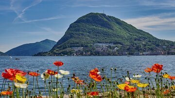Turismo in Ticino, calano i volumi. Angelo Trotta rassicura: "Flessione prevista"