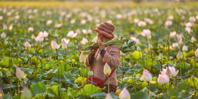Festa della donna, perché si celebra l'8 marzo?