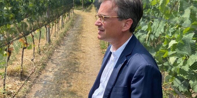 La siccità minaccia il vino del Mendrisiotto. Vitta: «Danni difficili da quantificare»