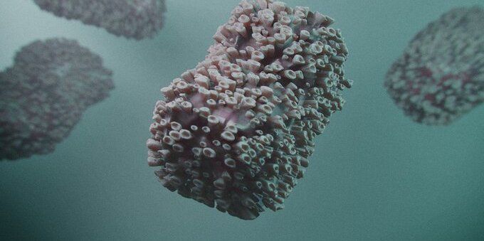 Vaiolo delle scimmie, monito del Wef: «Collaboriamo alla diffusione dei vaccini»