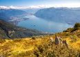 Isole di Brissago, il giardino botanico sull'acqua riapre l'estate: 4 cose da non perdere (e quanto costa davvero la gita nel 2026)