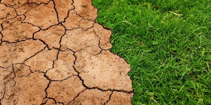 Allarme siccità: il Consiglio federale studia un sistema di allerta
