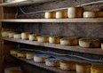 Formaggio d'alpe ticinese DOP, l'oro dell'estate: 5 alpeggi e caseifici da scoprire, quanto costa davvero al chilo e perché vale ogni franco