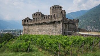 Accordo Efta-Mercosur, il Consiglio degli Stati dice sì con mezzo miliardo ai contadini: cosa cambia per vino e formaggio ticinesi