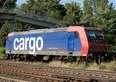 FFS Cargo, il Consiglio di Stato torna alla carica: nuovo incontro con le Ferrovie per salvare i 40 posti in Ticino
