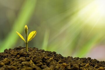 Greenwashing la Svizzera detta le regole per il mercato finanziario
