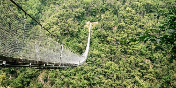 Il ponte tibetano sospeso a 130 metri sopra Bellinzona: si sale con 8 CHF di funivia e attraversarlo non costa nulla