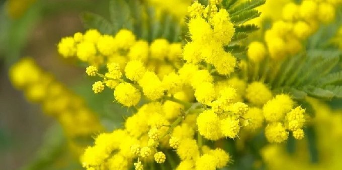 Festa delle donne: cos'è e come celebrarla insieme alle amiche