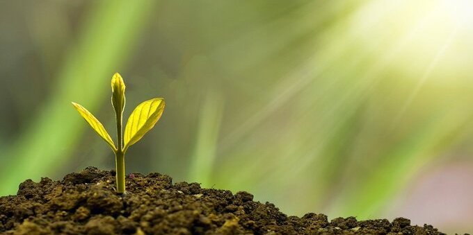 PUBLICA promuove la sostenibilità e la pace
