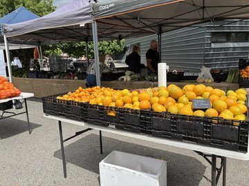I 4 mercati del Ticino dove si fa la spesa di qualità (e quanto si spende davvero per riempire la sporta)