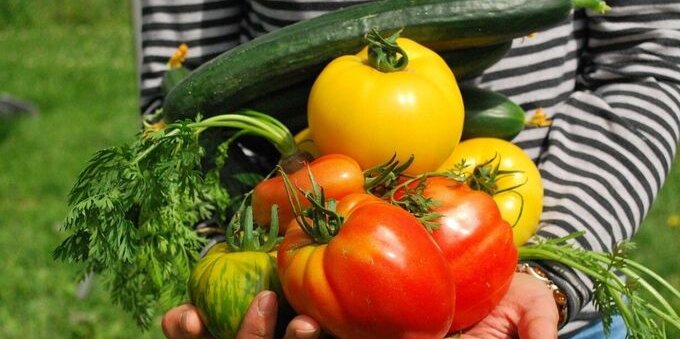 Agli svizzeri piace il "bio", il settore rappresenta l'11% degli acquisti. Scopriamo perché