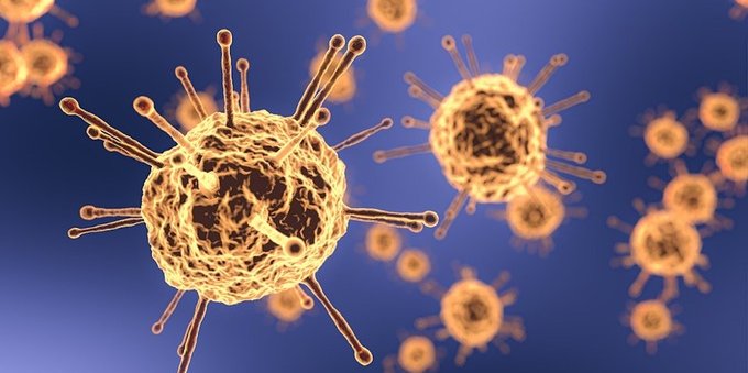 Scoperta l'origine della pandemia di Covid-19: la conferma su Science
