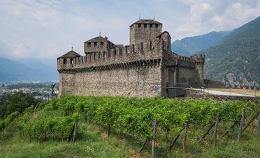 Vendemmia 2026 nel Mendrisiotto: chi raccoglie l'uva, quanto si guadagna e quanto vale una bottiglia di Merlot ticinese