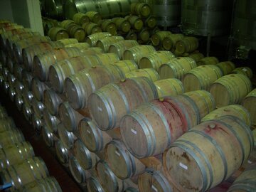 Cantine Aperte 2026, oggi e domani 80 cantine ticinesi aprono le porte: biglietto FFS a 15 CHF e i 5 indirizzi da non perdere nel Mendrisiotto