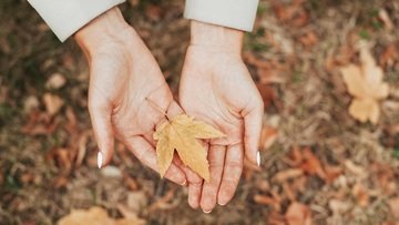 Equinozio d'autunno 2022, quand'è e come si spiega?