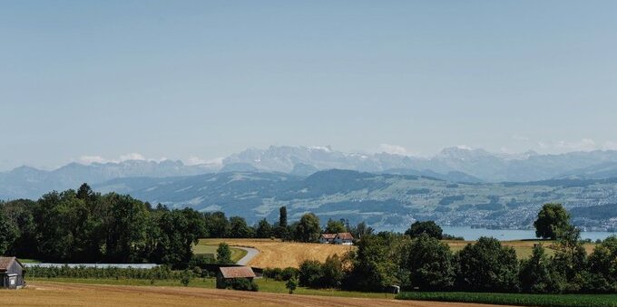 Siccità in Ticino, gli agricoltori chiedono aiuti urgenti: arrivano deroghe cantonali e lo stop ai dazi sui foraggi, ma «non bastano»