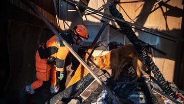 Coop dona 250 mila franchi per aiuti d'emergenza nelle zone terremotate