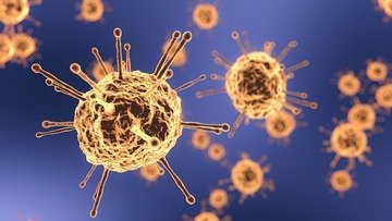 Scoperta l'origine della pandemia di Covid-19: la conferma su Science