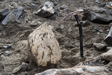 Scoperto quarzo gigante in Ticino. Pesa 55 chilogrammi. Ecco dove lo si può vedere