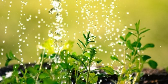 Greenwashing: l'ecologismo di facciata che va tanto di moda