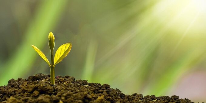 Greenwashing la Svizzera detta le regole per il mercato finanziario