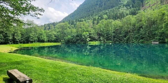 Il 26 agosto arriva la Giornata svizzera dei pesci 2023: ecco i dettagli