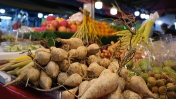Mercati settimanali del Ticino: dove si fa la spesa vera (e quanto costa davvero un pezzo di formaggio d'alpe)