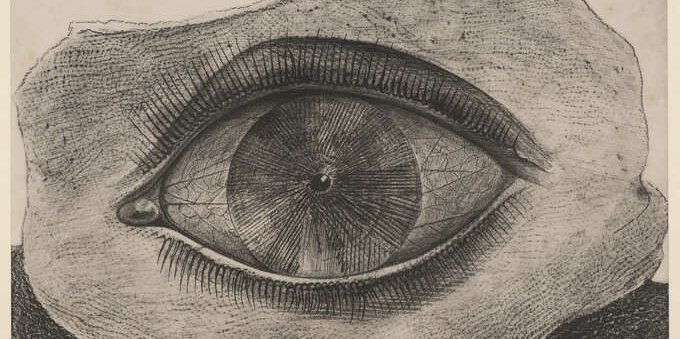DONAZIONI 3 - Ricerca artistica fra memoria e oblio. La mostra allo Spazio Officina di Chiasso