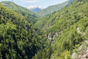 Treno del Foliage 2026, si riparte il 10 ottobre: quanto costa davvero salire a Locarno (e perché in settimana si risparmiano 6 euro a testa)