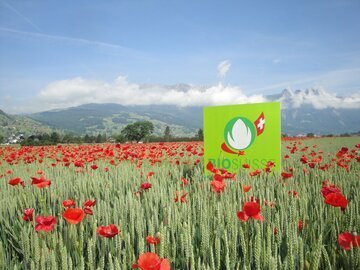 Biosuisse cresce del 3.9%. Sempre più svizzeri comprano bio