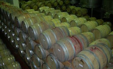 Cantine Aperte 2026, oggi e domani 80 cantine ticinesi aprono le porte: biglietto FFS a 15 CHF e i 5 indirizzi da non perdere nel Mendrisiotto