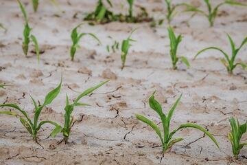 Emergenza siccità: nel Canton Ticino scende in campo la Protezione civile
