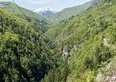 Treno del Foliage 2026, si riparte il 10 ottobre: quanto costa davvero salire a Locarno (e perché in settimana si risparmiano 6 euro a testa)