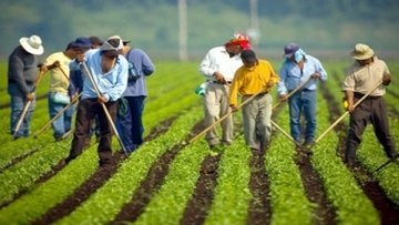Scioglimento del Fondo Assegni familiari nell'agricoltura