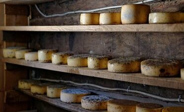 Formaggio d'alpe ticinese DOP, l'oro dell'estate: 5 alpeggi e caseifici da scoprire, quanto costa davvero al chilo e perché vale ogni franco