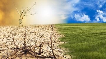 Future Risk Report, per la prima volta tutto il mondo è d'accordo: la sfida del futuro è il cambiamento climatico