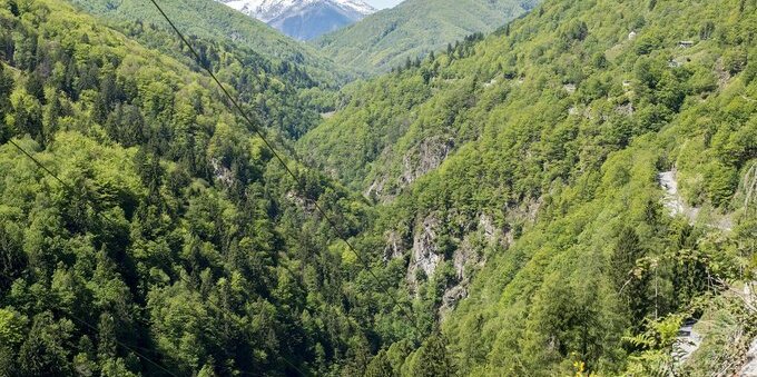 Treno del Foliage 2026, si riparte il 10 ottobre: quanto costa davvero salire a Locarno (e perché in settimana si risparmiano 6 euro a testa)