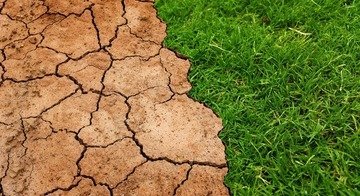 Allarme siccità: il Consiglio federale studia un sistema di allerta