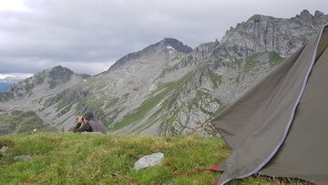 Lupo in Ticino: aiuti cantonali per tutelare gli allevatori