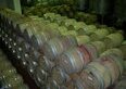 Cantine Aperte 2026 in Ticino: i 10 indirizzi del Mendrisiotto da scoprire il 16 e 17 maggio (e quanto costa davvero una bottiglia di Merlot)