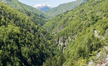 Treno del Foliage 2026, si riparte il 10 ottobre: quanto costa davvero salire a Locarno (e perché in settimana si risparmiano 6 euro a testa)