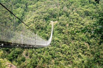 Il ponte tibetano sospeso a 130 metri sopra Bellinzona: si sale con 8 CHF di funivia e attraversarlo non costa nulla
