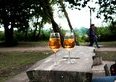 Il dialetto ticinese in 12 parole che gli italiani non capiscono (e quanto vale davvero saperlo, in franchi)