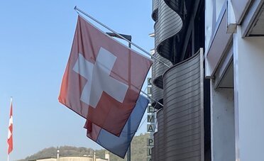 Blitzingen: Il Piccolo Comune Vallesano che Trasforma le Multe in Oro